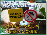 ���肢�Ƃ�����