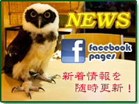 �V�����