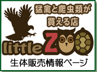 �ҋׂ�঒��ނ�������X little ZOO