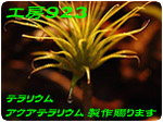 �H�[923