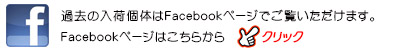 Facebook�y�[�W��